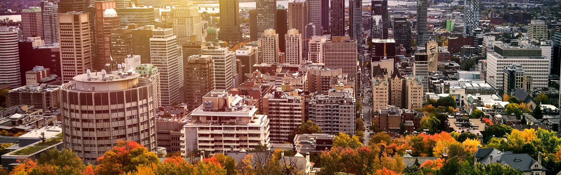 OMA - Montreal